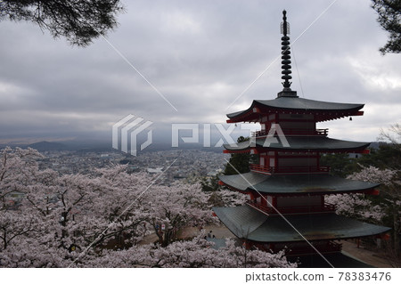 Arakurayama Sengen Park Arakurayama Sengen Park 78383476