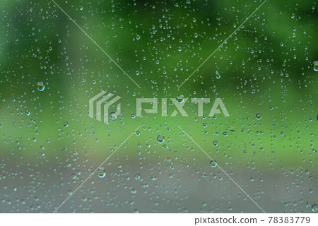 透過雨窗的森林4 照片素材 圖片 7779 圖庫
