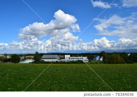 Bibaushi 的扁草草甸 78384036