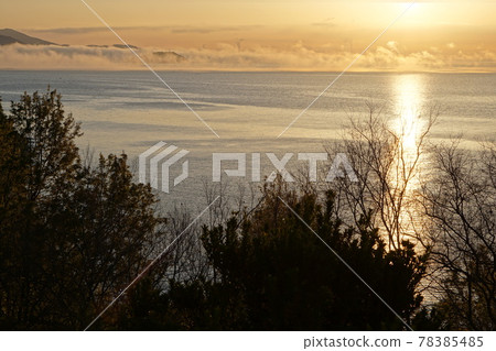 赤子晨景 赤子晨景 78385485