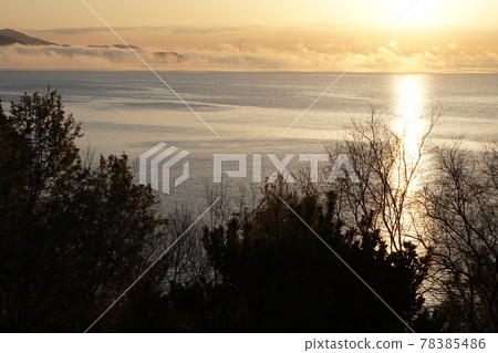 赤子晨景 78385486