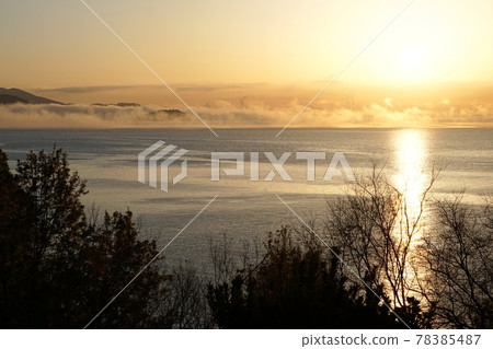 赤子晨景 78385487