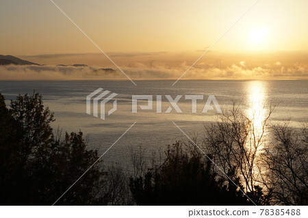 赤子晨景 78385488