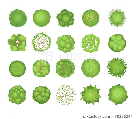 Tree crowns set 78386244