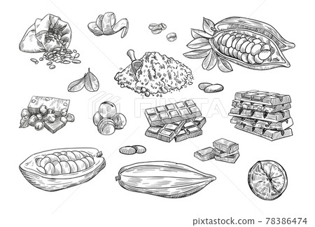 Chocolate elements hand drawn vector illustration collection Chocolate elements hand drawn vector illustration collection 78386474