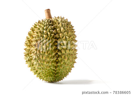Ripe Monthong Durian fruit isolated on white background, King of fruits 78386605