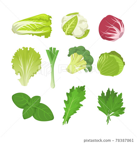 Salad and cabbage species set Salad and cabbage species set 78387861