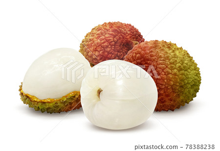 Litchi Reishi Illustration Real Set 78388238