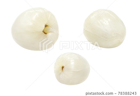 Litchi Reishi Illustration Real Contents 78388243