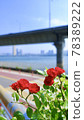 Miniature 78389222