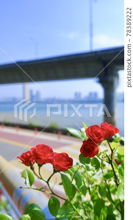 Miniature Miniature 78389222