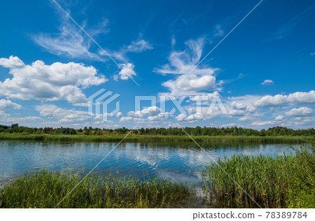 Small picturesque rushy lake. Sunny, summer day. Small picturesque rushy lake. Sunny, summer day. 78389784