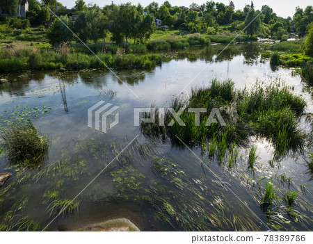 Small picturesque rushy pond on river. Sunny, summer day on Ros river, Boguslav, Ukraine. 78389786