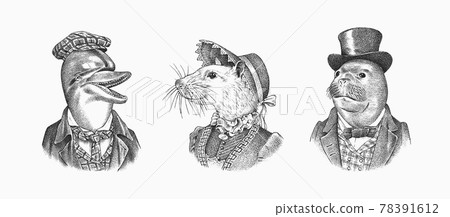 Seal and White Mouse and Dolphin in hat and suit. Victorian woman and man. Marine mammal. Fashion 78391612