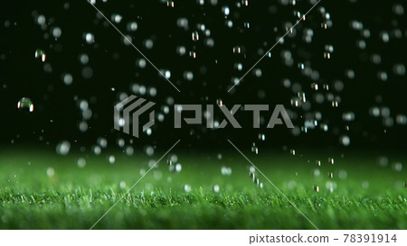 Freeze motion of rain drops falling on grass texture 78391914