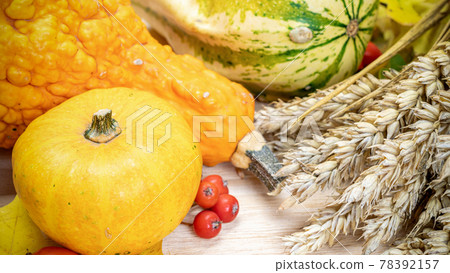 Abstract autumn. Natural harvest with rye spike orange pumpkin, fall dried leaves, red berries and acorns, chestnuts on wooden background. Autumn Thanksgiving day background. 78392157