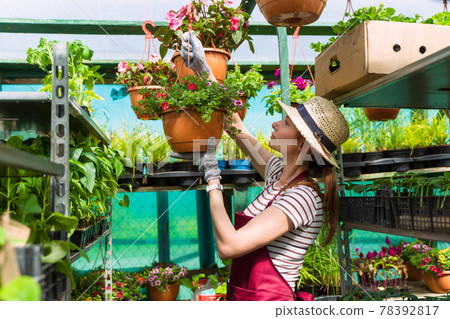 Woman gardener in hat and gloves works with flowers in the greenhouse. Woman gardener in hat and gloves works with flowers in the greenhouse. 78392817