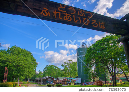 Senbonmatsu Farm Spring Scenery 78393070