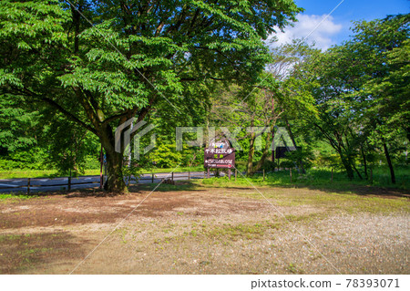 Senbonmatsu Farm Spring Scenery 78393071