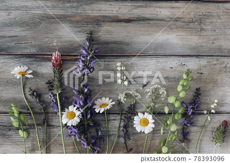 Wild meadow flowers on old wooden table background. Decorative frame, floral banner. Blooming crimson clover, white oxeyey daisy, sage and lilly of the valley plants. 78393096