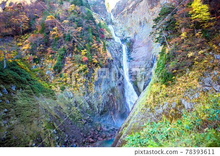 Famous for autumnal leaves Falls Famous for autumnal leaves Falls 78393611