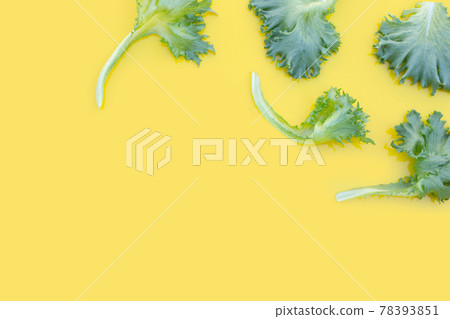 Fresh frillice iceberg lettuce on yellow background. 78393851