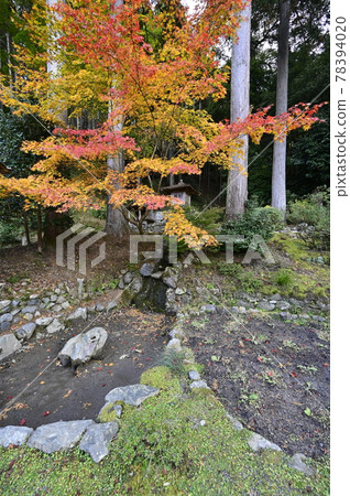 京都 大原魚山 大原寺聖林院區 78394020
