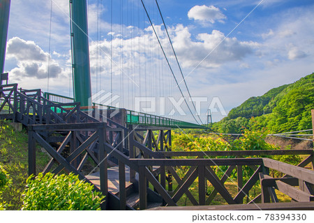 Momijidani Suspension Bridge Spring scenery 78394330