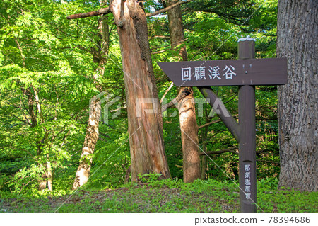 鹽原溪谷散步道附近,春天的景色 鹽原溪谷散步道附近,春天的景色 78394686