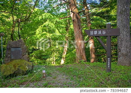 鹽原溪谷散步道附近,春天的景色 鹽原溪谷散步道附近,春天的景色 78394687