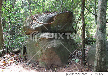 Scenery where you can feel the history and culture of Cambodia Scenery where you can feel the history and culture of Cambodia 78394775