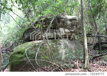 Scenery where you can feel the history and culture of Cambodia Scenery where you can feel the history and culture of Cambodia 78394777