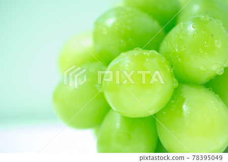 新鮮葡萄特寫 新鮮葡萄特寫 78395049
