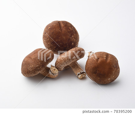 Shiitake 78395200
