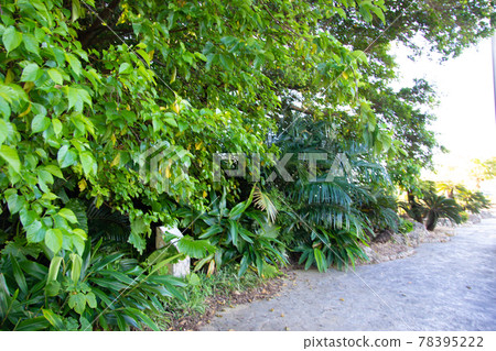 禦岳舊守山村遺址 78395222