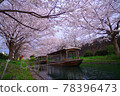 Fushimi ten stone boat in spring 78396473
