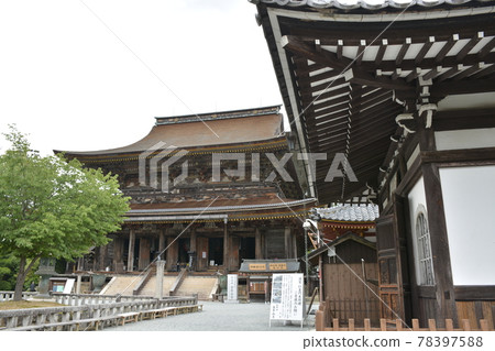 [Yoshino Town, Nara Prefecture] Kinpusenji Temple in Yoshinoyama 78397588