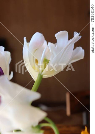 花瓣舞 花瓣舞 78398140