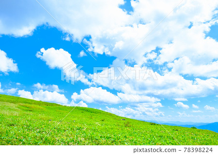 Refreshing plateau scenery (summer) 78398224