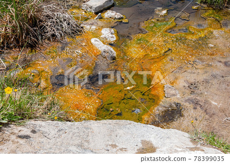 Sunny landscape around the Hot Creek Geological Site Sunny landscape around the Hot Creek Geological Site 78399035
