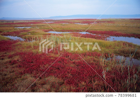 Hamcho社區(北海道網走) Hamcho社區(北海道網走) 78399681