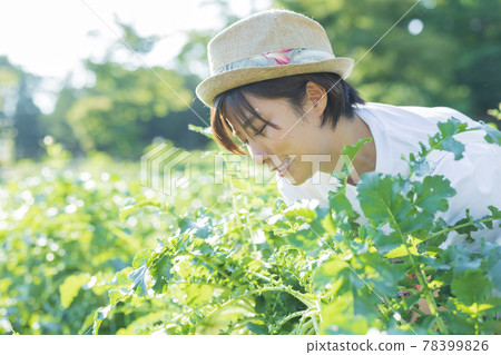 A cute woman pulling a radish in the field A cute woman pulling a radish in the field 78399826