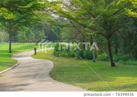 pathway and beautiful trees track for running or walking relax in the park on green grass field on the side of the golf course 78399916