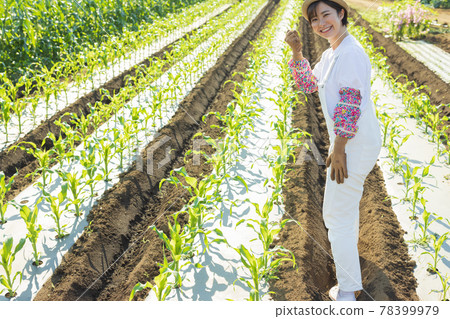 在外地工作的可愛女人 在外地工作的可愛女人 78399979