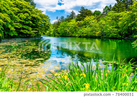 長野縣輕井澤 鮮綠的雲葉池 長野縣輕井澤 鮮綠的雲葉池 78400031