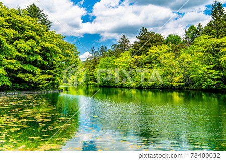長野縣輕井澤 鮮綠的雲葉池 78400032