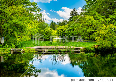 Karuizawa, Nagano Prefecture Fresh green Kumoba Pond 78400044
