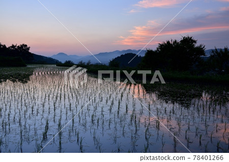 Rice terraces of Uda Yasuda Rice terraces of Uda Yasuda 78401266