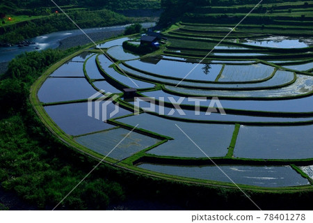 Rice terrace of Akashima Rice terrace of Akashima 78401278