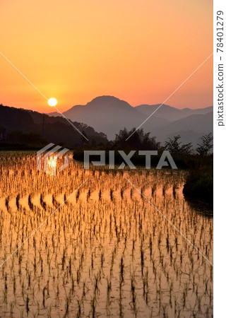 Rice terraces of Uda Yasuda Rice terraces of Uda Yasuda 78401279